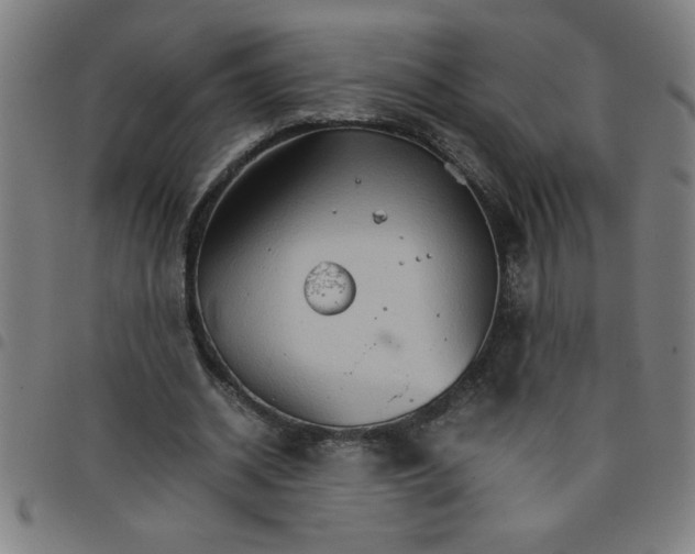 X0000098040534200804251042