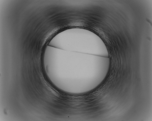 X0000098040535200804251042