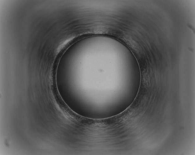 X0000098040536200804251042