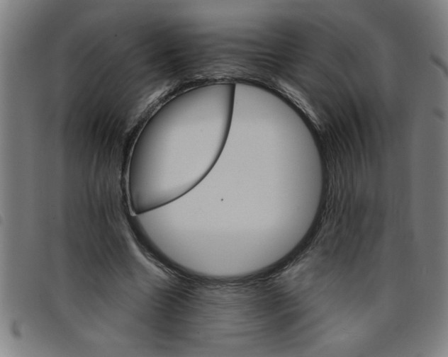 X0000098040538200804251042