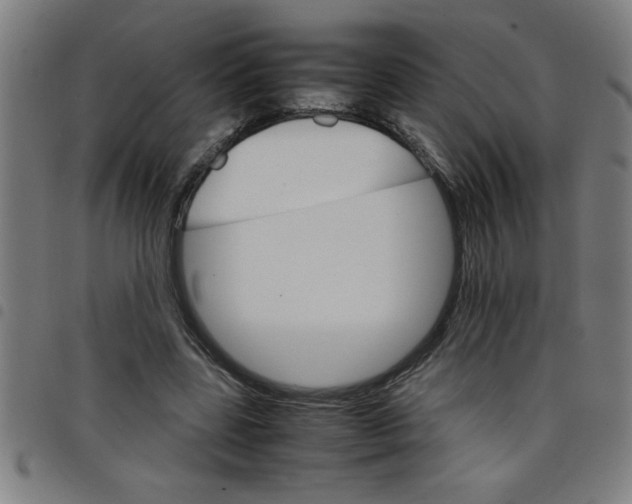 X0000098040539200804251042