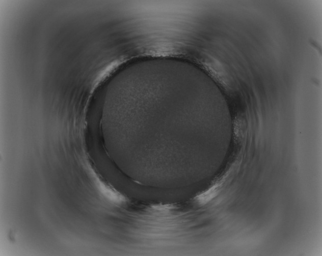 X0000098040540200804251042