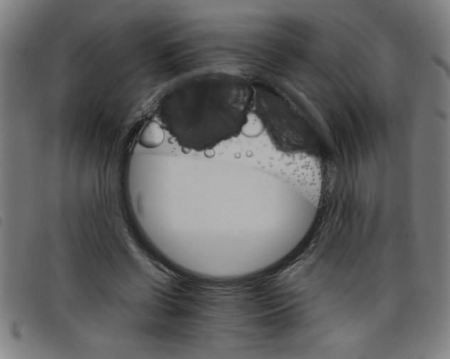 X0000098040542200804251042