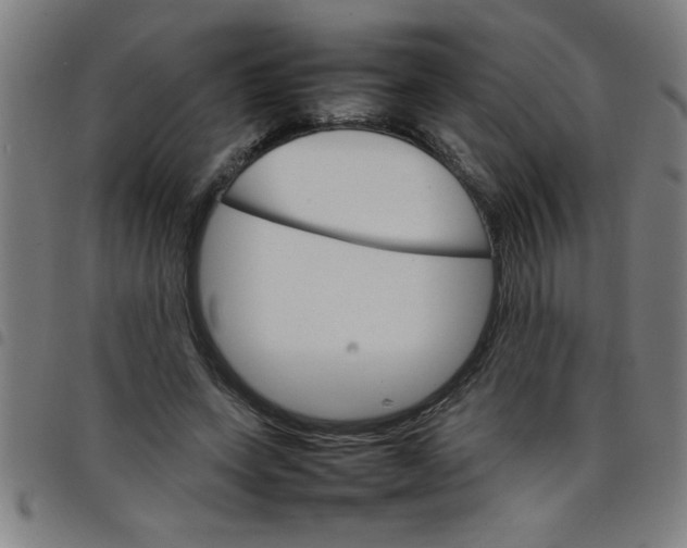 X0000098040543200804251042