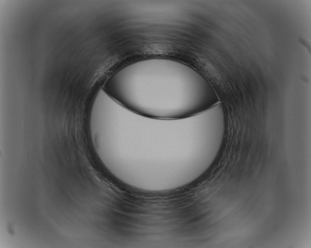 X0000098040544200804251042