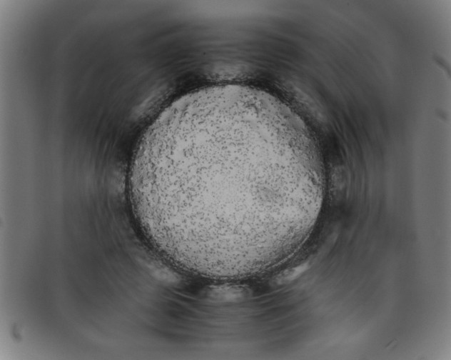 X0000098040545200804251042