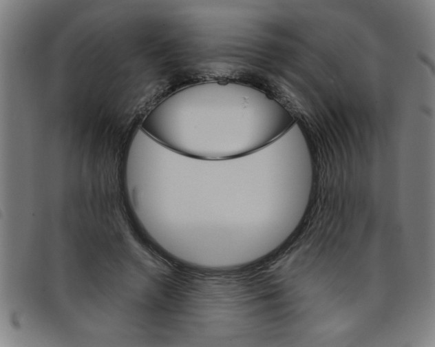 X0000098040546200804251042