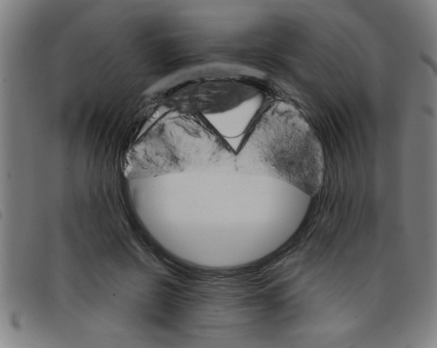 X0000098040550200804251042