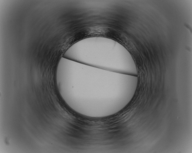 X0000098040551200804251042