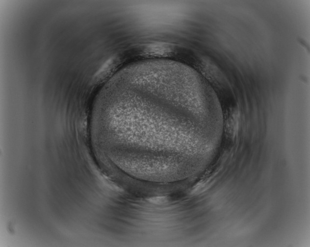 X0000098040552200804251042