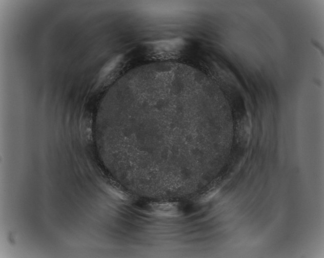 X0000098040553200804251042