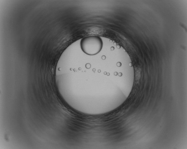 X0000098040554200804251042