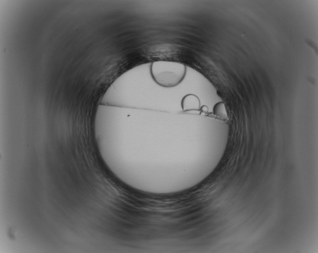 X0000098040555200804251042