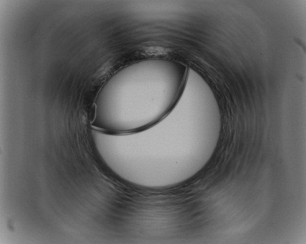 X0000098040556200804251042