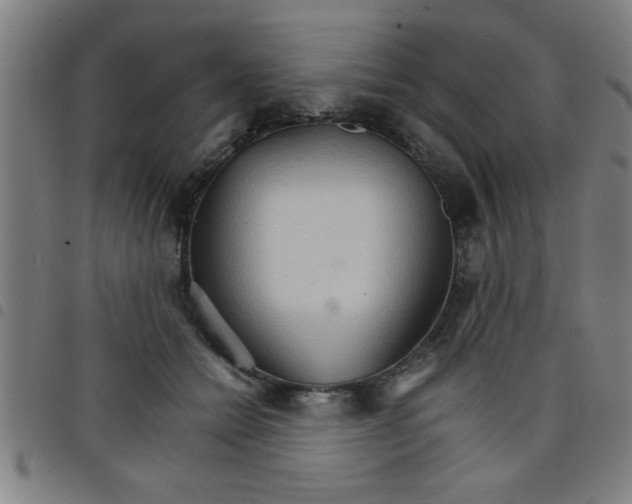 X0000098040558200804251042