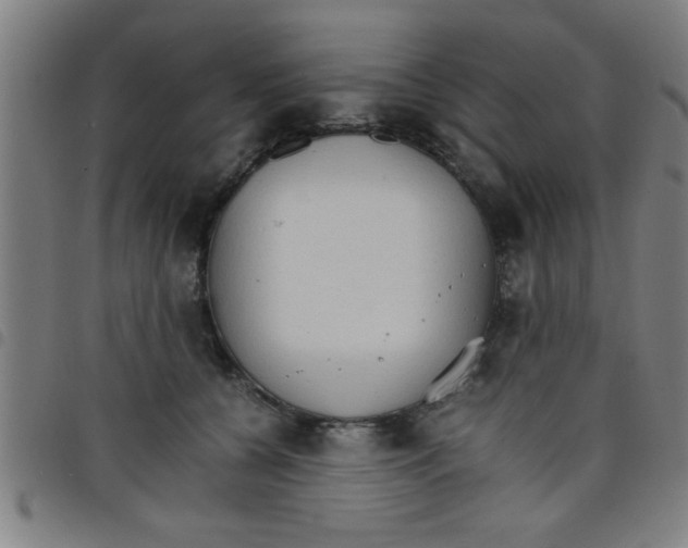 X0000098040560200804251042