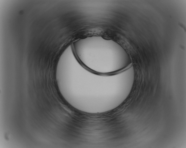 X0000098040564200804251042