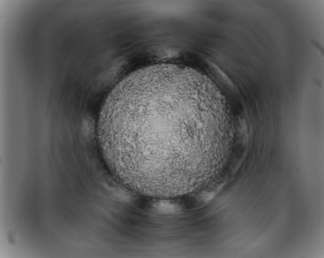 X0000098040565200804251042