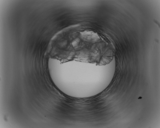 X0000098040569200804251042