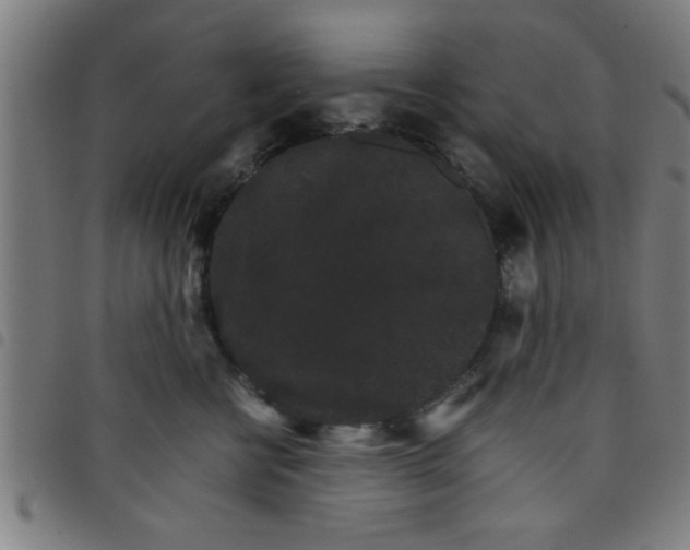 X0000098040570200804251042