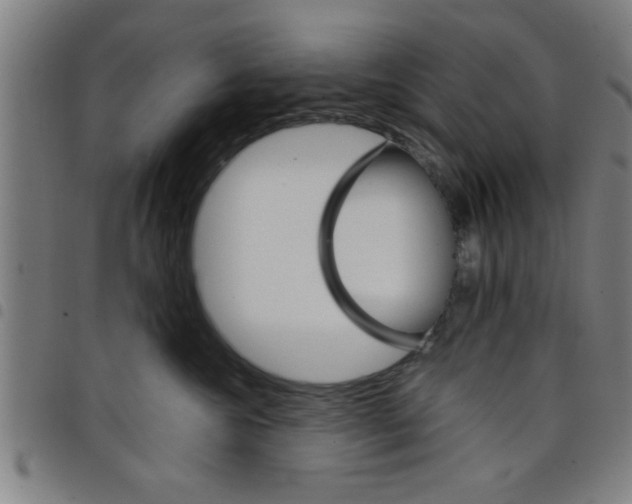 X0000098040572200804251042