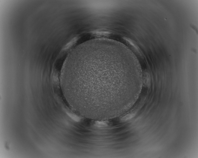 X0000098040573200804251042