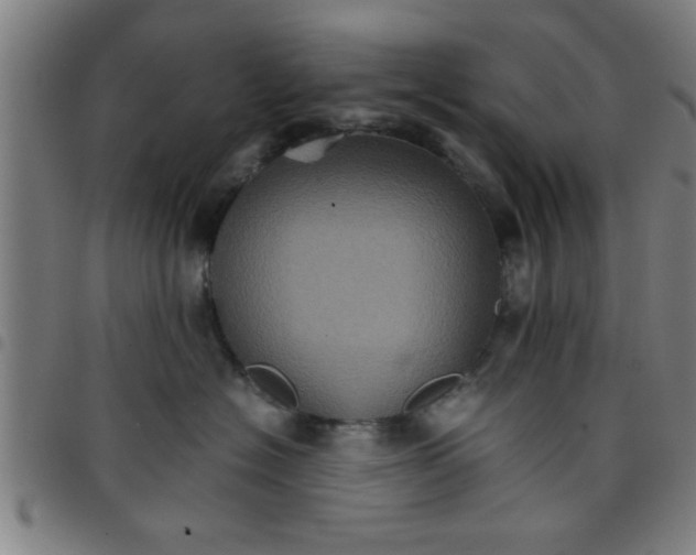 X0000098040574200804251042