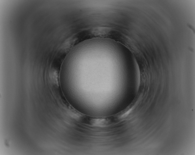 X0000098040575200804251042