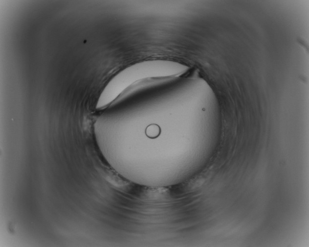 X0000098040576200804251042