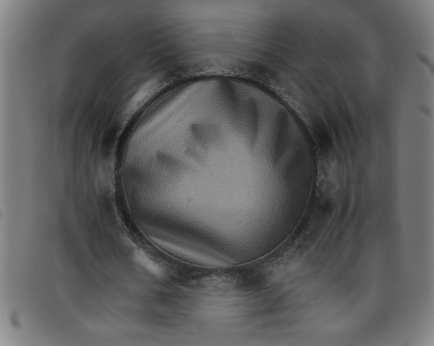 X0000098040578200804251042