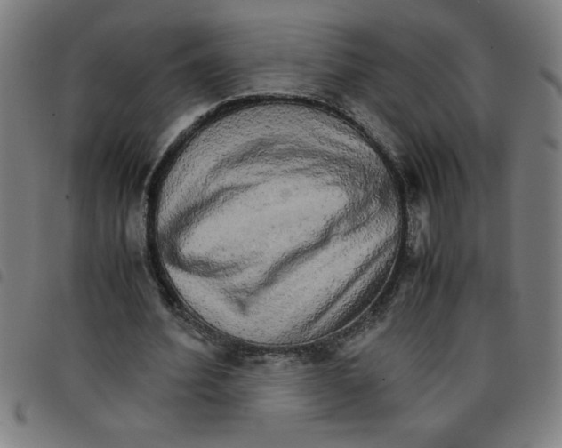 X0000098040580200804251042