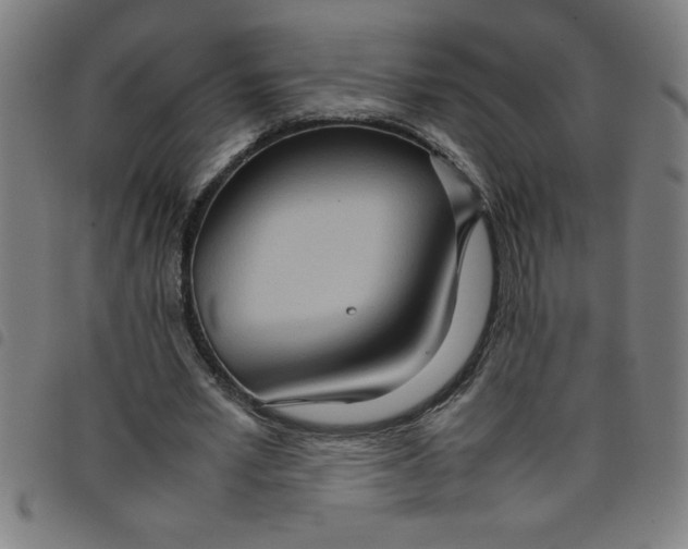 X0000098040581200804251042