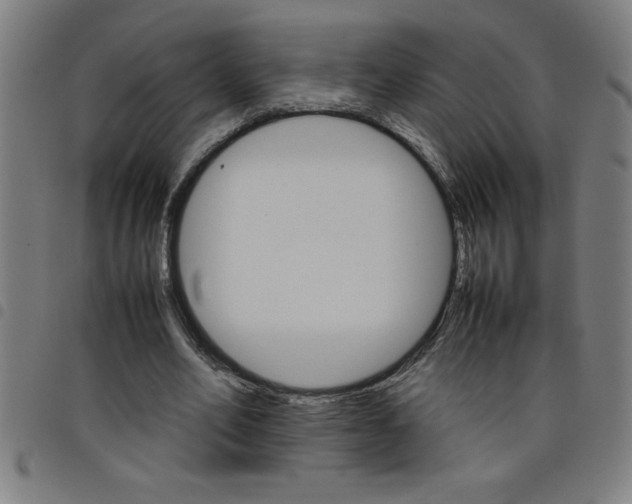 X0000098040582200804251042