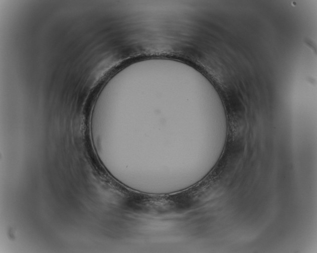 X0000098040583200804251042