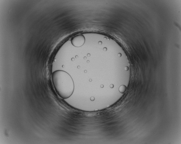 X0000098040584200804251041