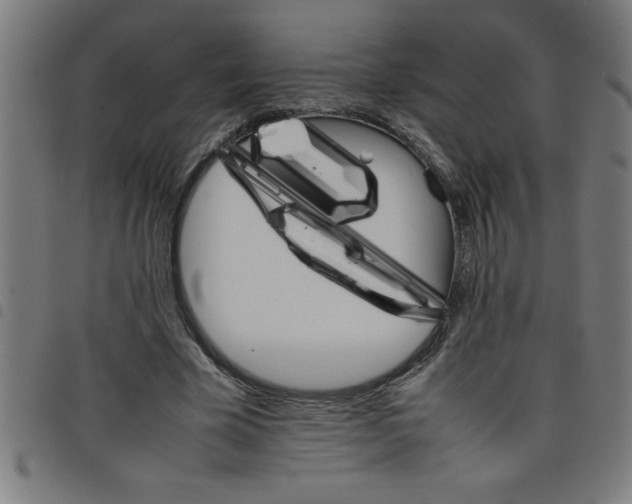 X0000098040585200804251041