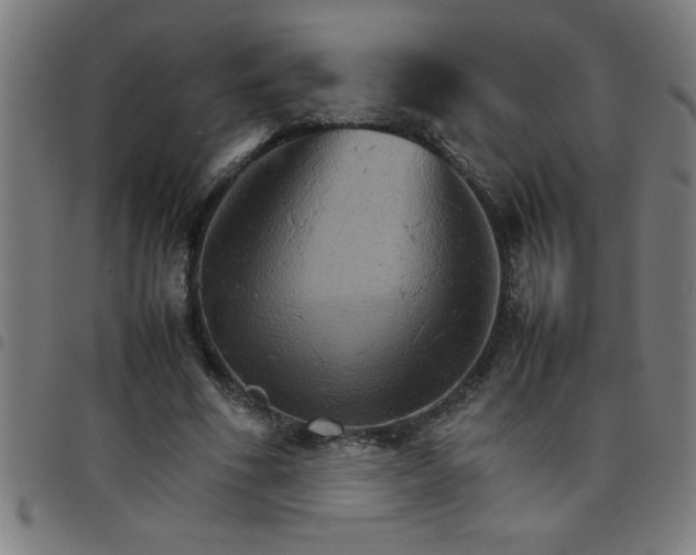 X0000098040586200804251041