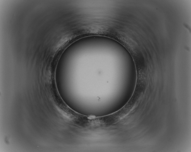 X0000098040587200804251041