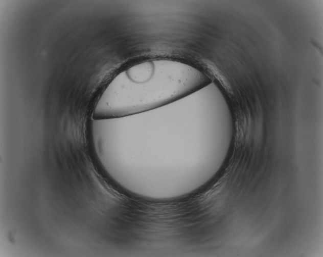 X0000098040588200804251041