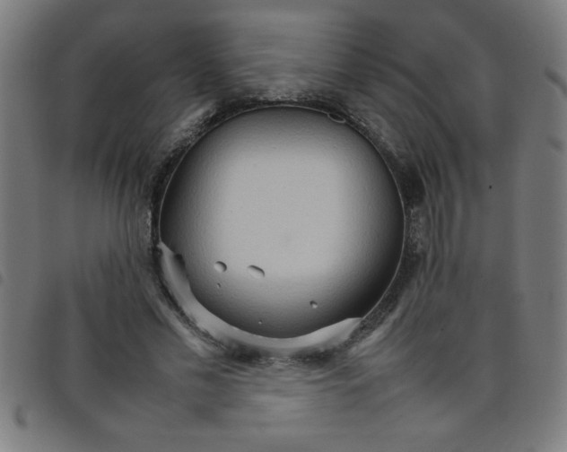 X0000098040589200804251041