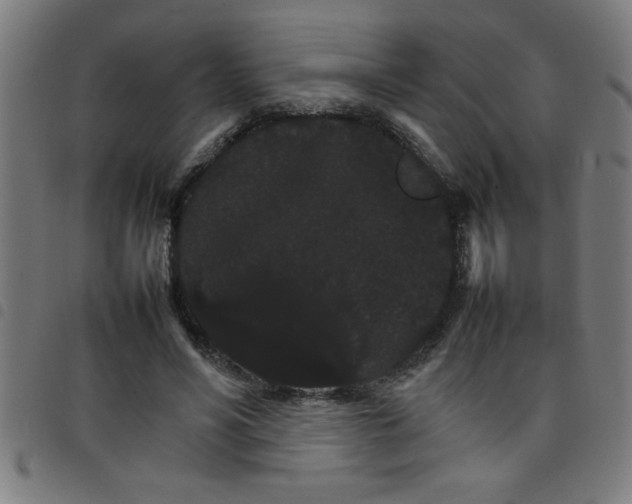 X0000098040590200804251041