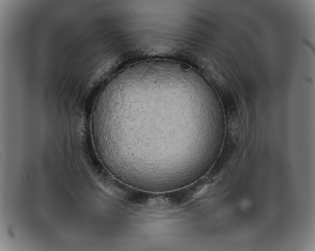 X0000098040591200804251041