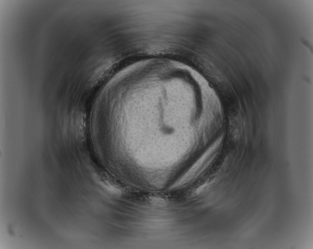 X0000098040592200804251041