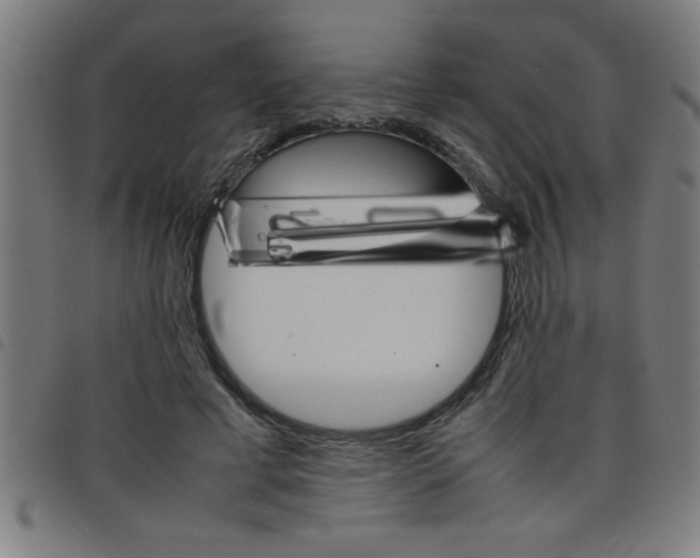 X0000098040593200804251041