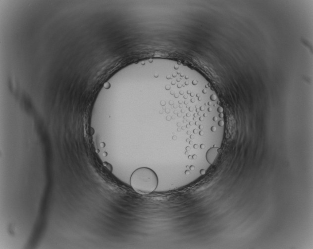 X0000098040594200804251041