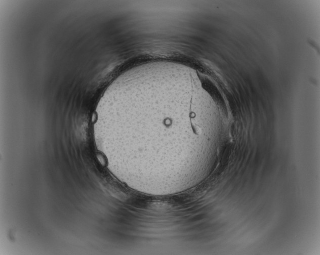 X0000098040596200804251041