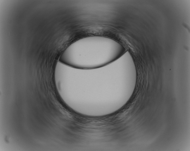 X0000098040597200804251041