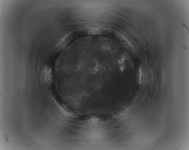 X0000098040598200804251041