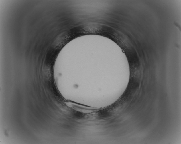 X0000098040599200804251041