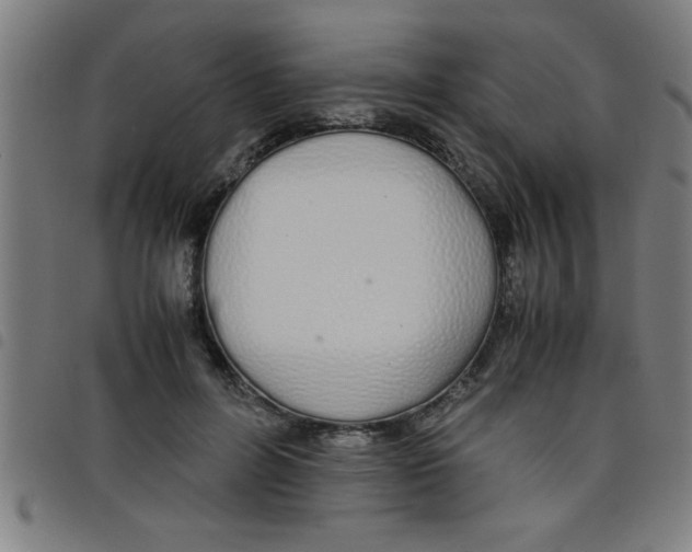 X0000098040600200804251041